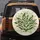 Lily of the Valley Berries Green Leaves Floral - Nature Lover Home Decor Gift Spare Tire Cover - 5