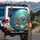 Sea Turtle Reef Fish Coral Light Rays Shimmering Water - Ocean Lover Gift Spare Tire Cover - 3