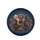 Alert Playful Dachshund Dogs Realistic Black Tan Reddish Brown - Dog Lover Gift Spare Tire Cover - 4