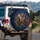 Alert Playful Dachshund Dogs Realistic Black Tan Reddish Brown - Dog Lover Gift Spare Tire Cover - 3
