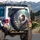 Curious Tricolor Guinea Pig Wildflower Garden Enchanted Forest Wildlife Lover Gift Spare Tire Cover - 3