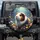 Curious Tricolor Guinea Pig Wildflower Garden Enchanted Forest Wildlife Lover Gift Spare Tire Cover - 1