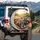 Four Exhilarated Cats Driving Convertible Car - Open Road Adventure Travel Lover Gift Spare Tire Cover - 3