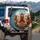 Driving Chickens Highway Journey - Funny Chicken Lover Road Trip Gift Spare Tire Cover - 3