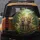 Surprised Tiger Family Jungle Adventure - Wildlife Lover Gift Spare Tire Cover - 5