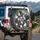 Curious Cat Faces Paw Prints - Cat Lover Gift for Pet Owners Spare Tire Cover - 3