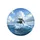 Dolphins Leaping Ocean Wave Seagulls Cumulus Clouds - Ocean Lover Gift Spare Tire Cover - 4
