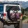 Skeleton Hawaiian Shirt Steering Wheel Broadsword - Vehicle Decor Gift Spare Tire Cover - 3