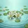 White Lily Flowers Green Lily Pads Floating Water - Home Decor Gift for Nature Lovers Spare Tire Cover - 6