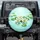White Lily Flowers Green Lily Pads Floating Water - Home Decor Gift for Nature Lovers Spare Tire Cover - 1