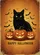 duiyfppz/products/69ff64a6b506cf803fdf00ce/gallery/Nlds_Ueel5
