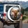 Smiling Fluffy Goldendoodle Dog Pack Road Trip Scene - Pet Lover Gift for Dog Owners Spare Tire Cover - 3