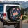 Lush Coral Peach Purplish Blue Chrysanthemum Floral Arrangement - Classic Elegance Gift Spare Tire Cover - 3