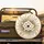 White Daisy Flowers Golden Centers Botanical Leaves Berries Sprigs - Nature Lover Decor Gift Spare Tire Cover - 2