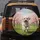 Joyful Fluffy White Dog Cherry Blossom Park - Outdoor Nature Lover Gift Spare Tire Cover - 5