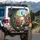 Buck Doe Driving Car Modern Interior Road Trip Companion Gift for Travelers Spare Tire Cover - 3