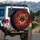 Black Spider Red Eyes Spider Web - Halloween Decor Gift for Spider Lover Spare Tire Cover - 3