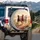 Brown Red White Wild Horse Trio Gallop Dusty Desert - Wildlife Lover Gift Spare Tire Cover - 3