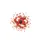 Ladybugs Red Flowers White Daisy Blossoms - Cheerful Outdoor Decor Gift Spare Tire Cover - 4