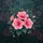 Pink Hibiscus Botanical Garden Decor Gift for Floral Lover Spare Tire Cover - 6