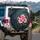 Pink Hibiscus Botanical Garden Decor Gift for Floral Lover Spare Tire Cover - 3