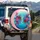Lush Symmetrical Floral Bouquets Blooming Roses - Everyday Home Decor Gift Spare Tire Cover - 3