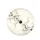 White Cream Cherry Blossoms Dark Brown Branches - Outdoor Nature Gift Spare Tire Cover - 4