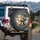 Seven Chihuahuas Paw Prints Bone Shapes - Chihuahua Lover Everyday Gift Spare Tire Cover - 3