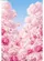 duiyfppz/products/69ff748314c61f1e26ec431d/gallery/7BpIyKEopx
