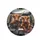 Highland Cattle Road Trip Landscape - Wildlife Lover Gift for Cow Lover Spare Tire Cover - 4