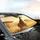Majestic Giraffe Savanna Landscape Wildlife Lover Gift Car Sunshade - 6