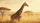 Majestic Giraffe Savanna Landscape Wildlife Lover Gift Car Sunshade - 7