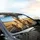 Joyful Golden Retriever Goldendoodle Dogs - Road Trip Car Accessory Car Sunshade - 6