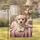 duiyfppz/products/6a0059c3b506cf7187df9b5f/gallery/6_wCM2tIYx