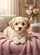 duiyfppz/products/6a0059c3b506cf7187df9b5f/gallery/DQbQgDn-7U