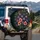 Lavish Fresh Figs Ruby Interiors Fig Leaves - Fruit Lover Vehicle Accessory Spare Tire Cover - 3