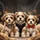 Three Shih Tzu Puppies Beaded Headband Harness Bow Tie - Pet Dog Lover Vehicle Accessory Spare Tire Cover - 6