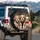 Three Shih Tzu Puppies Beaded Headband Harness Bow Tie - Pet Dog Lover Vehicle Accessory Spare Tire Cover - 3