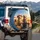 Golden Retrievers Hay Bales Wheat Field - Farmhouse Decor Dog Lover Gift Spare Tire Cover - 3