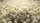 duiyfppz/products/6a005f79b506cf075bdfb8ae/gallery/b5-VwOPEcy