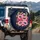 Pink Snake Fuchsia Roses Wildflowers Golden Moon - Mystical Decor for Snake Lovers Spare Tire Cover - 3