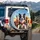 Diverse Dogs Border Collie Golden Wheat Field - Dog Lover Gift Spare Tire Cover - 3