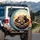 Tabby Black Cats Sunglasses Open Road - Car Enthusiast Gift for Cat Lovers Spare Tire Cover - 3