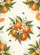 duiyfppz/products/6a00614c4d59b368136c7aed/gallery/ujoOY7xrzz