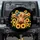 Highland Cow Teal Leopard Bow Sunflowers - Outdoor Adventure Cow Lover Gift Spare Tire Cover - 1