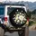 Swaying White Daisies Meadow Black Background - Everyday Floral Decor Gift Spare Tire Cover - 3
