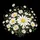 Swaying White Daisies Meadow Black Background - Everyday Floral Decor Gift Spare Tire Cover - 6