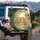 Smiling Cartoon Lion Tropical Safari Animals - Wildlife Lover Gift Spare Tire Cover - 3