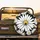 Prominent Daisy Floral Field White Petals Golden Center Black Background Everyday Style Spare Tire Cover - 2