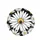 Prominent Daisy Floral Field White Petals Golden Center Black Background Everyday Style Spare Tire Cover - 4